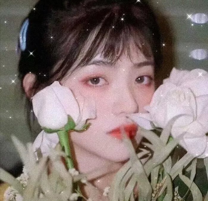 心动的信号第八季